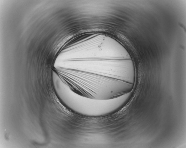 X0000102501177200808291705