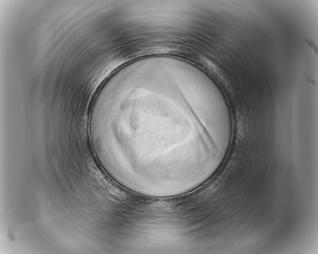 X0000102501178200808291705