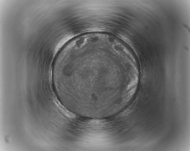 X0000102501179200808291705