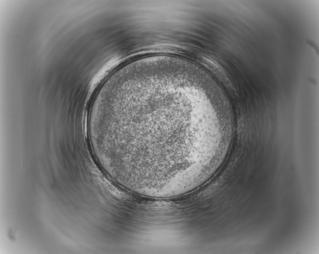 X0000102501180200808291705