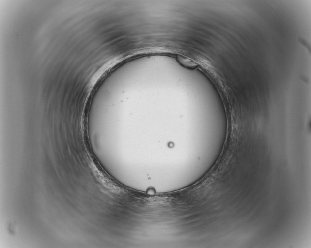 X0000102501181200808291705