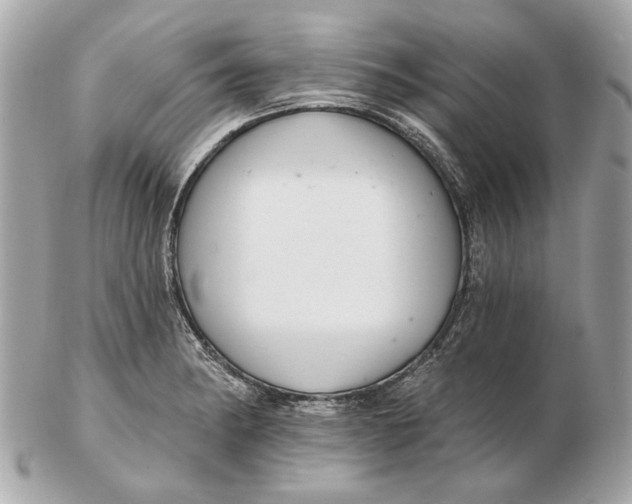 X0000102501182200808291705