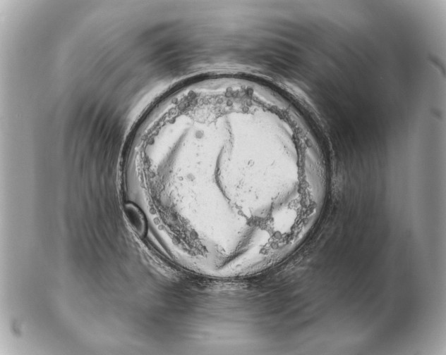 X0000102501183200808291705