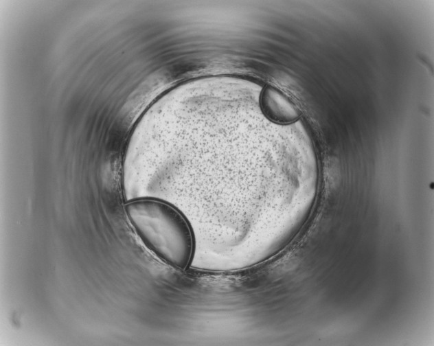 X0000102501185200808291705