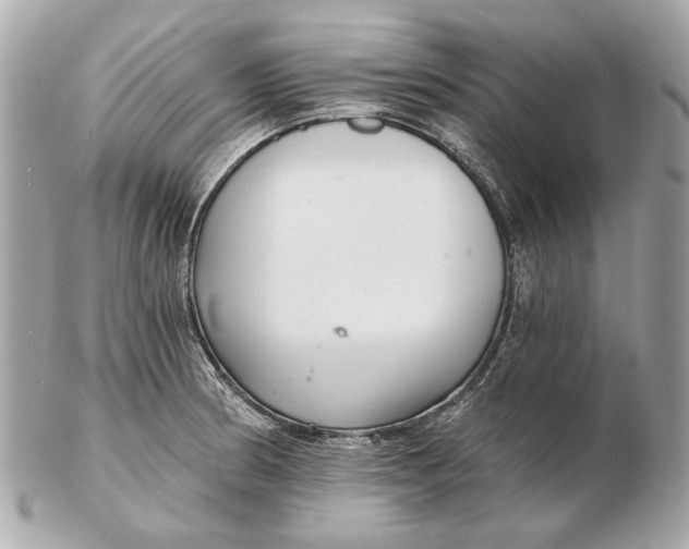 X0000102501186200808291705