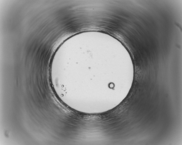 X0000102501187200808291705