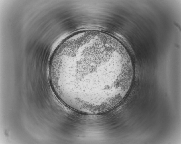 X0000102501188200808291705