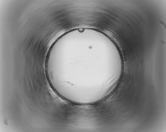 X0000102501189200808291705