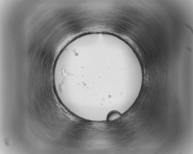 X0000102501191200808291705