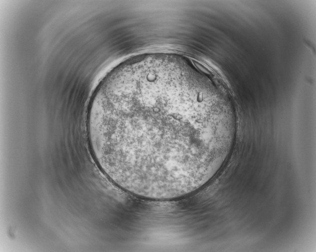 X0000102501192200808291705