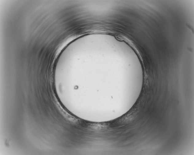 X0000102501195200808291705