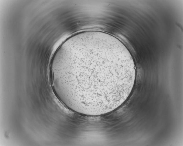 X0000102501196200808291705