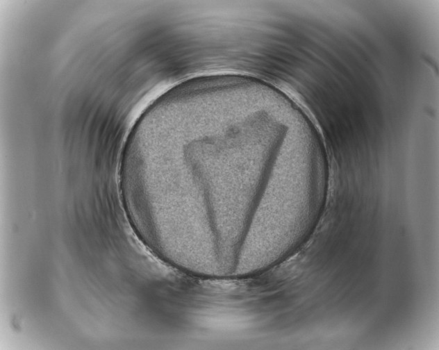 X0000102501197200808291705