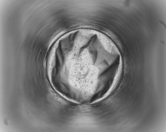 X0000102501198200808291705