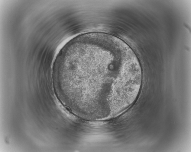 X0000102501200200808291705