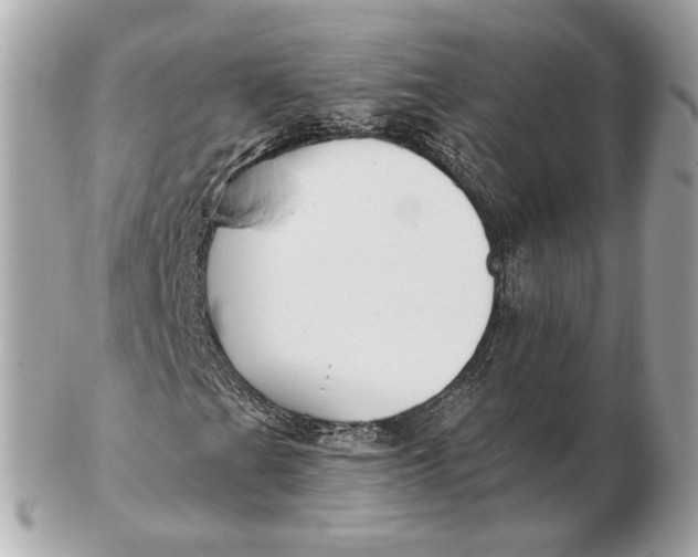 X0000102501201200808291704