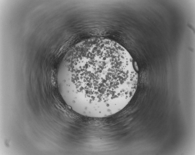 X0000102501202200808291704