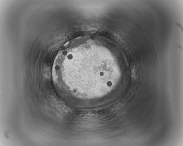 X0000102501204200808291704