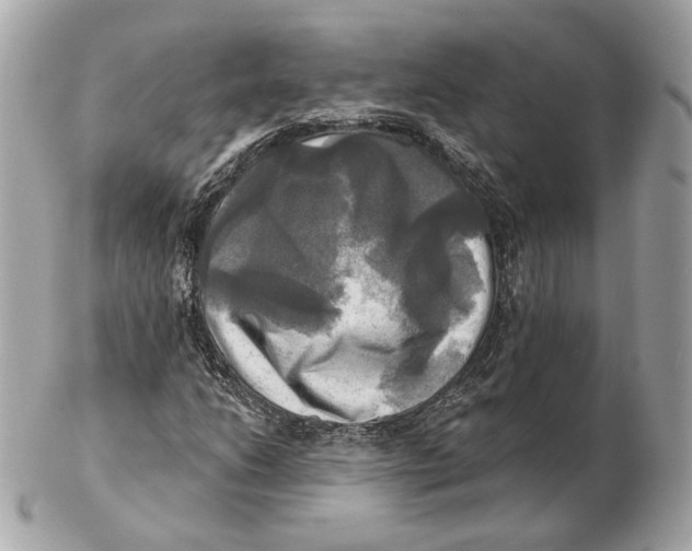 X0000102501206200808291704