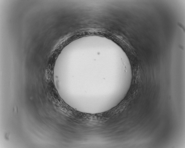 X0000102501207200808291704