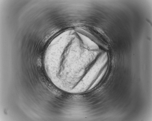 X0000102501209200808291704