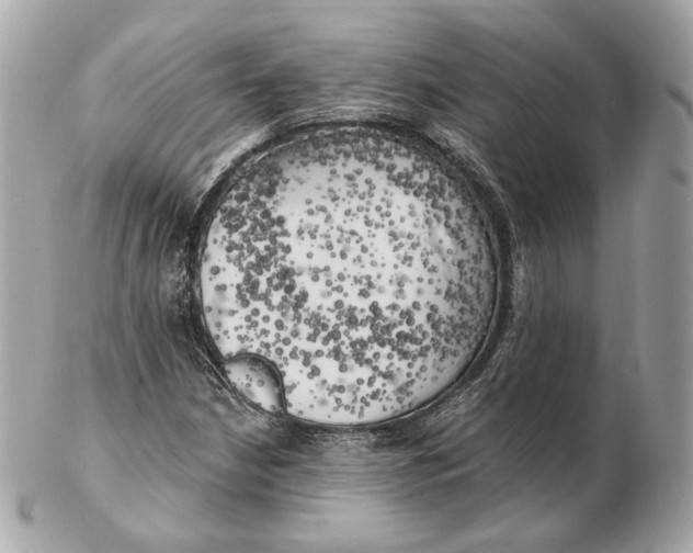 X0000102501210200808291704