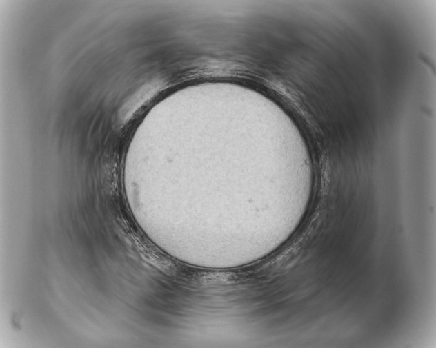 X0000102501211200808291704