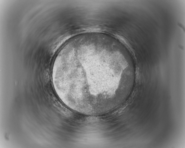 X0000102501212200808291704