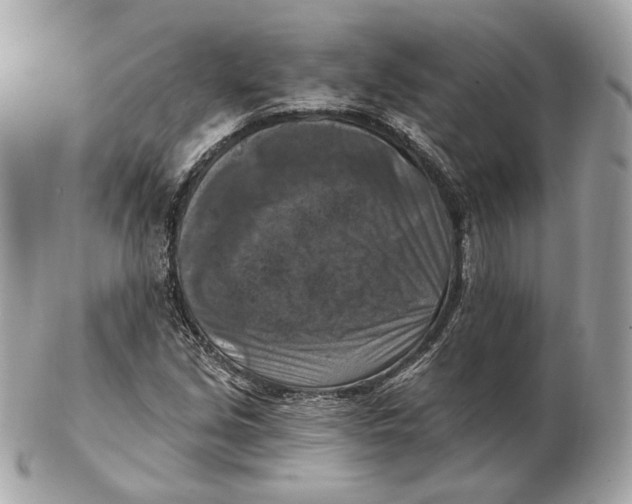 X0000102501213200808291704