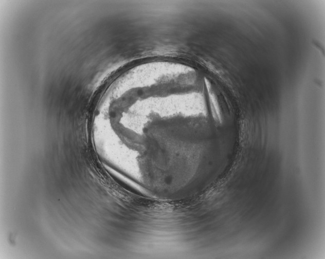 X0000102501214200808291704