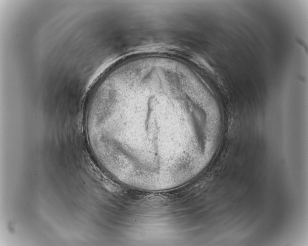 X0000102501216200808291704