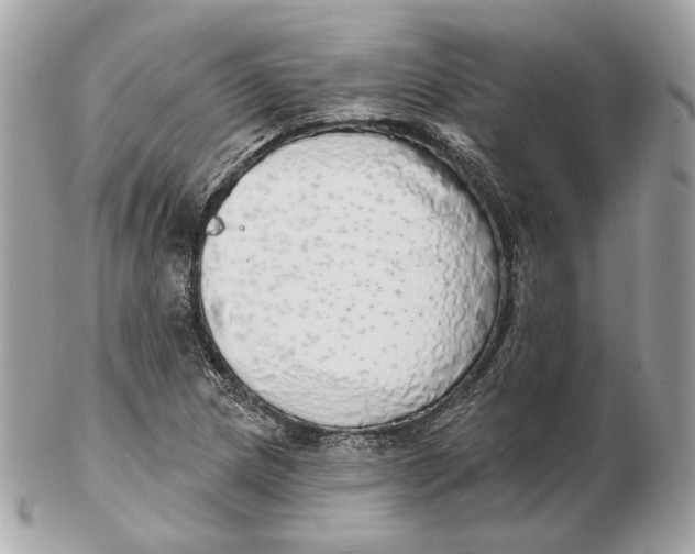 X0000102501217200808291704