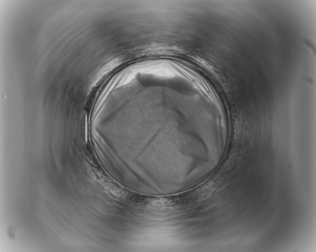 X0000102501219200808291704