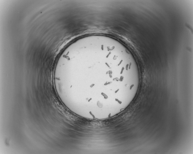 X0000102501220200808291704