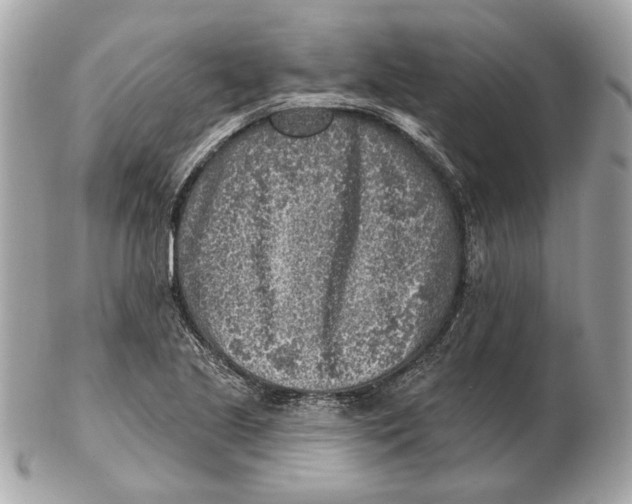 X0000102501221200808291704