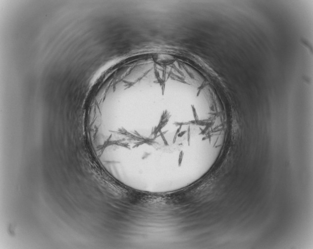 X0000102501222200808291704