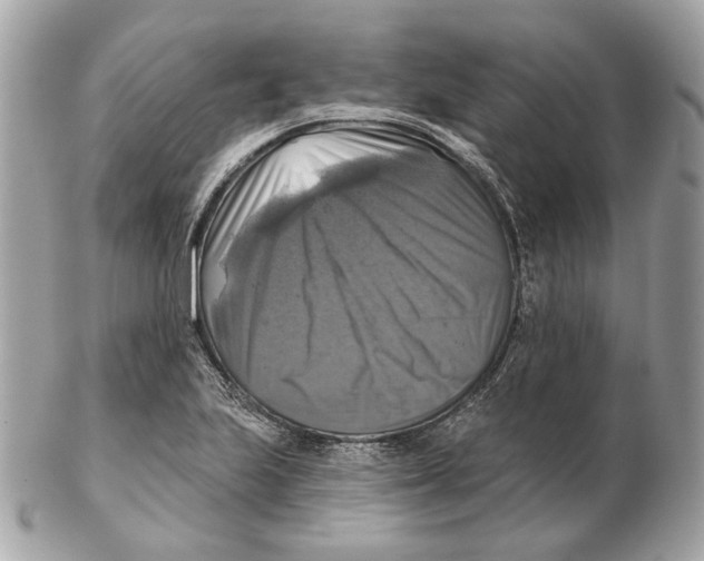 X0000102501223200808291704