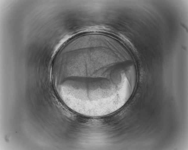 X0000102501224200808291704