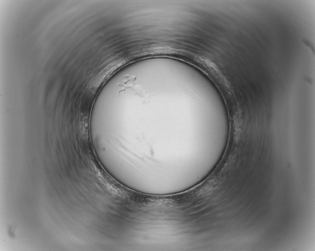 X0000102501225200808291704