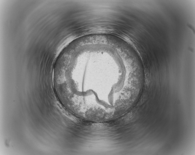 X0000102501227200808291704