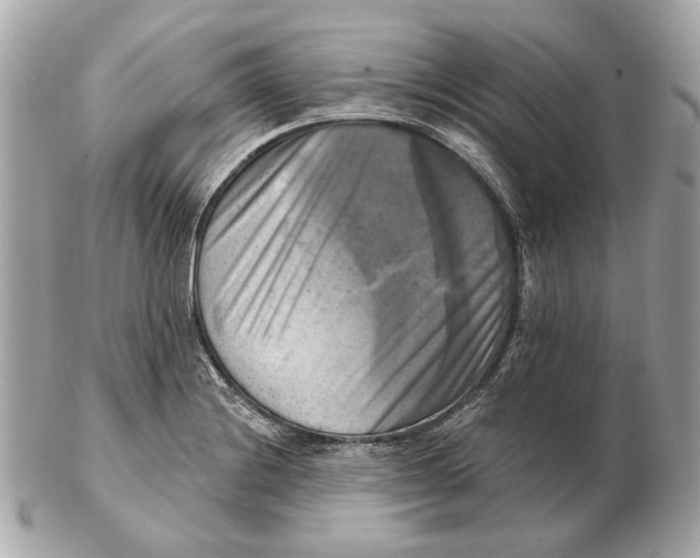 X0000102501228200808291704