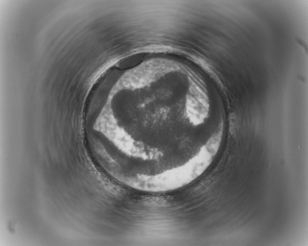 X0000102501229200808291704