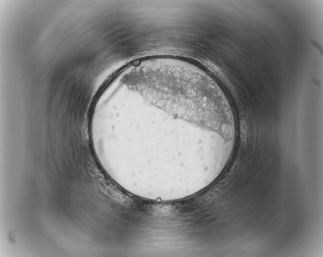 X0000102501230200808291704