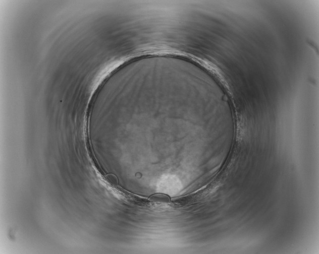 X0000102501231200808291704