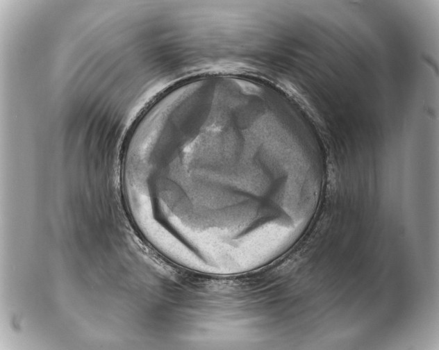 X0000102501232200808291704