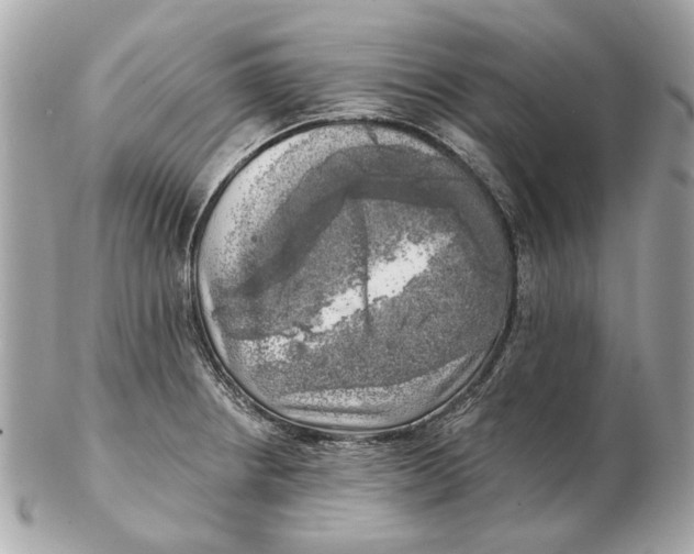 X0000102501234200808291704