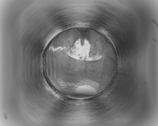 X0000102501235200808291704