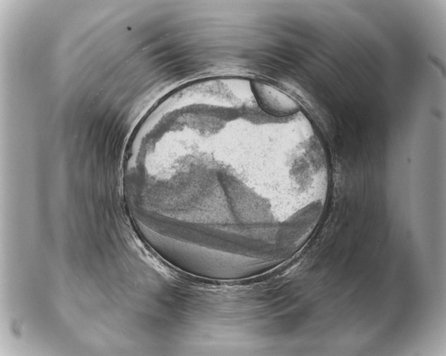 X0000102501236200808291704