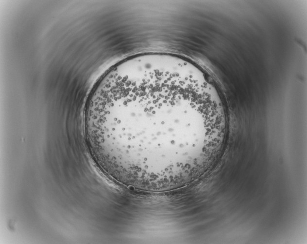 X0000102501238200808291704