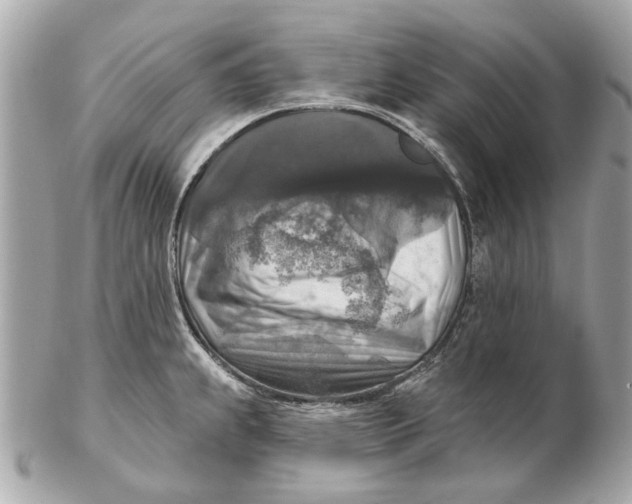 X0000102501239200808291704